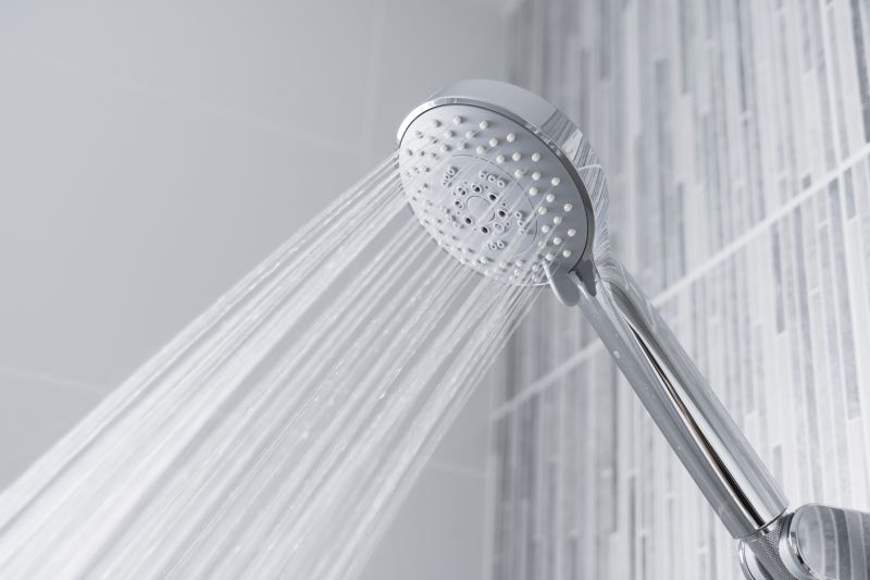 Rain Shower Head in Contemporary Bathroom